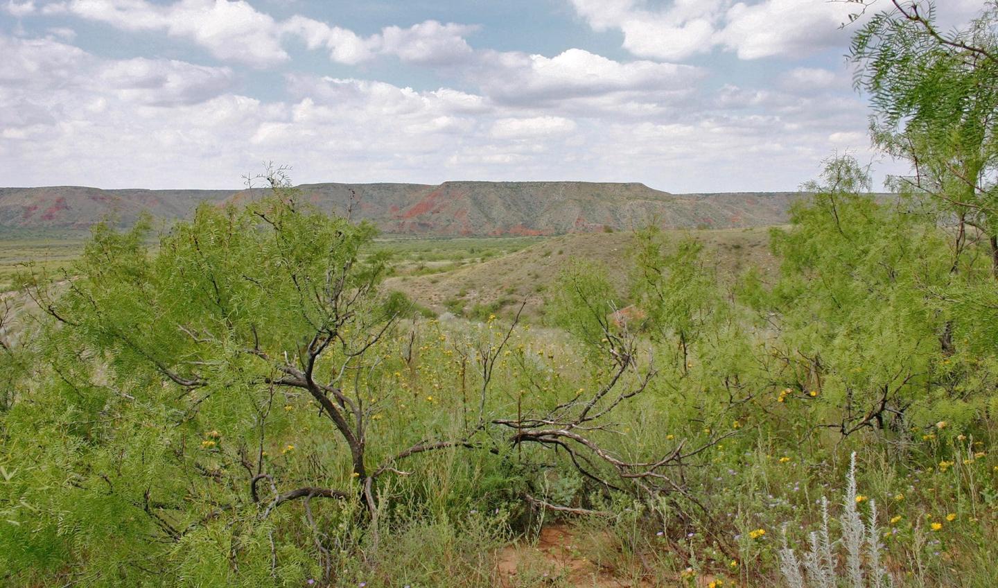 Lake Meredith photo