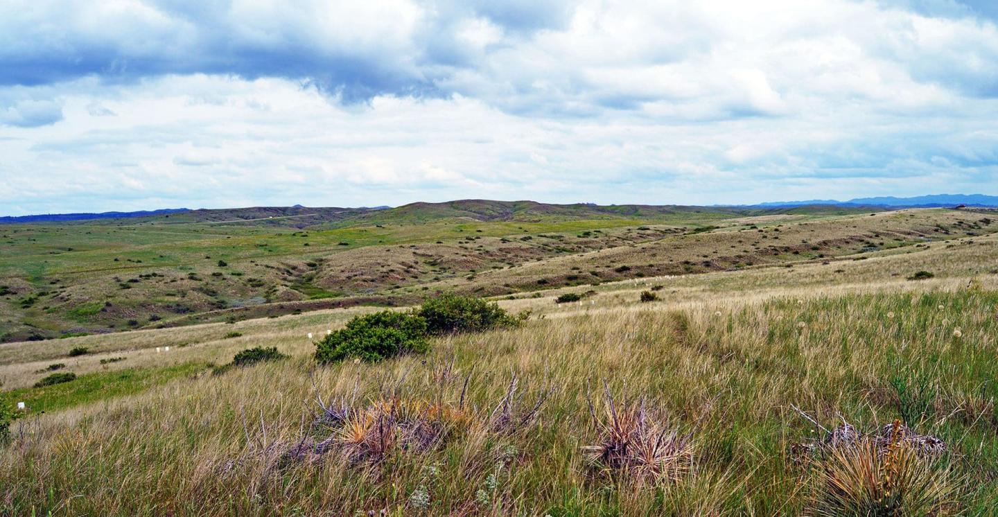 Explore Little Bighorn Battlefield National Monument