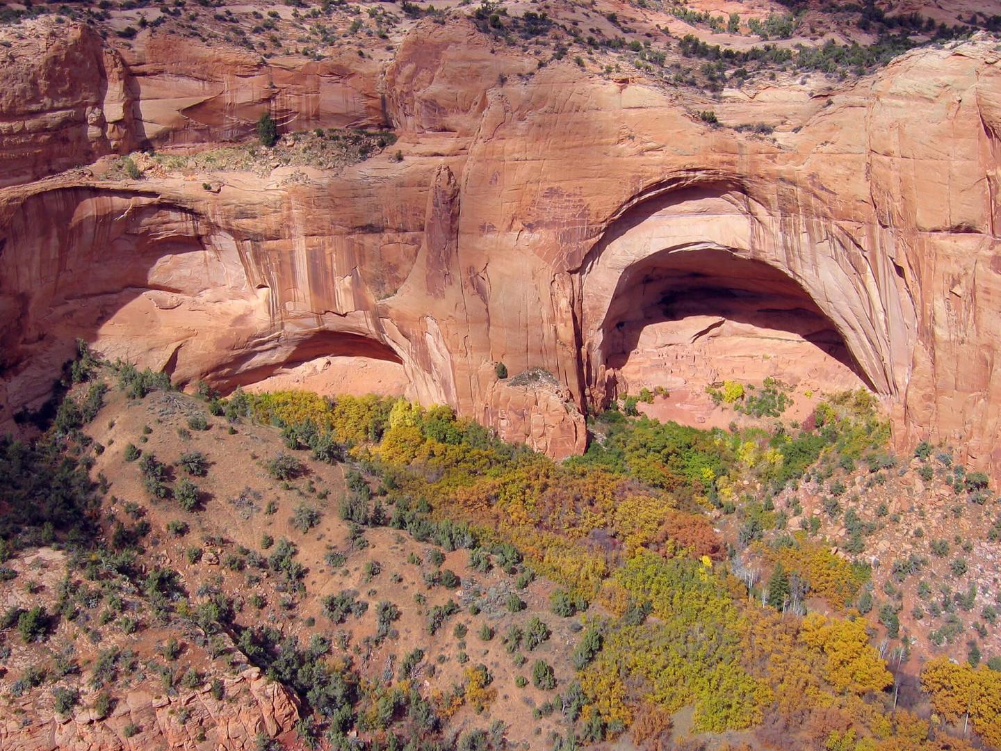 Navajo