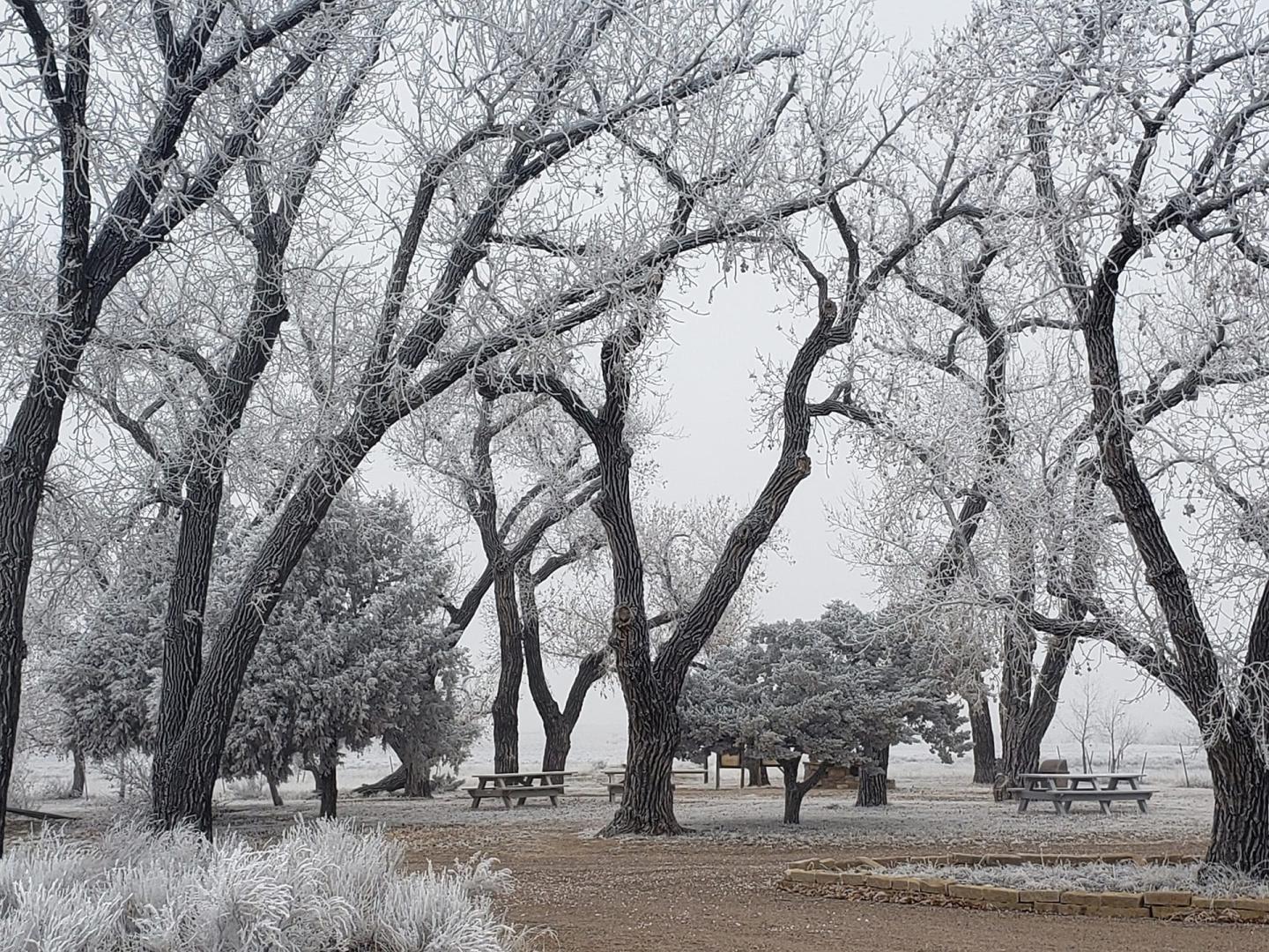 Sand Creek Massacre