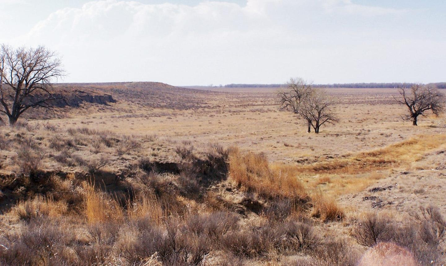 Sand Creek Massacre photo