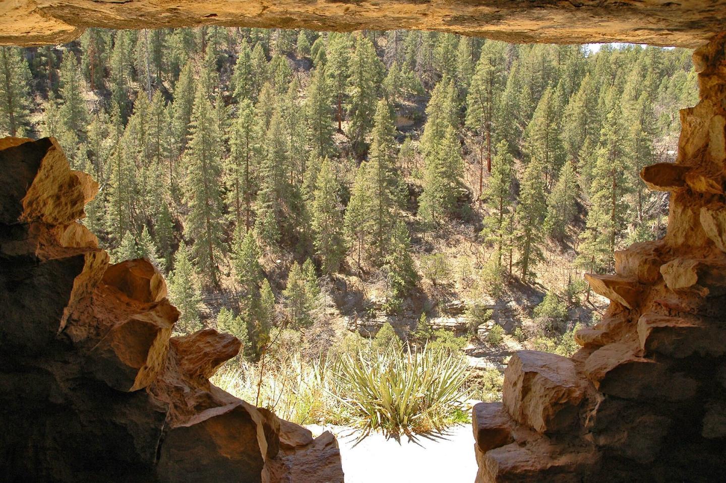 Walnut Canyon photo