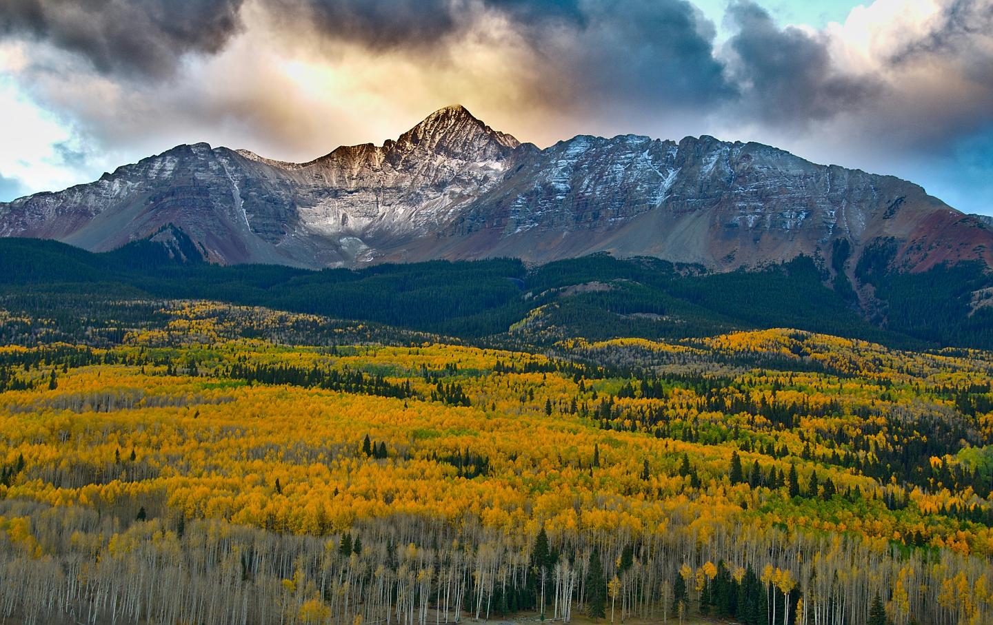 Mountain landscape with a field of yellow autumn trees and dramatic cloudy sky.