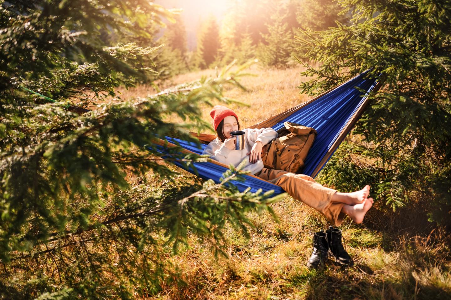 Person relaxing in a hammock in a sunlit forest, reading a book.