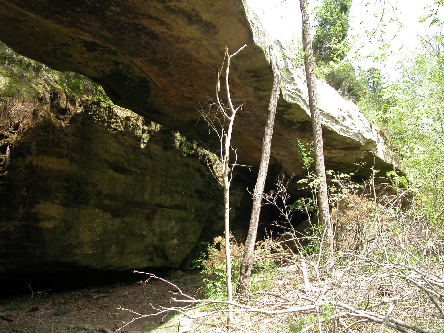 Rock overhang surrounded by trees and underbrush in sunlight.