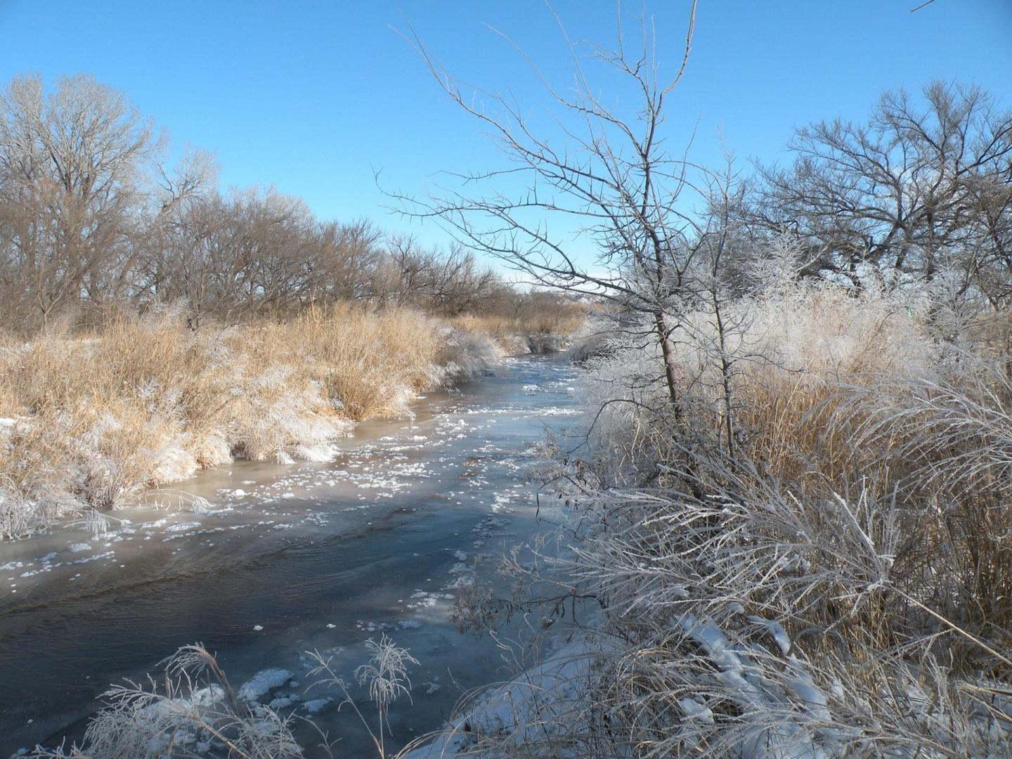 Washita River Valley with frosty trees and grass under clear blue sky.