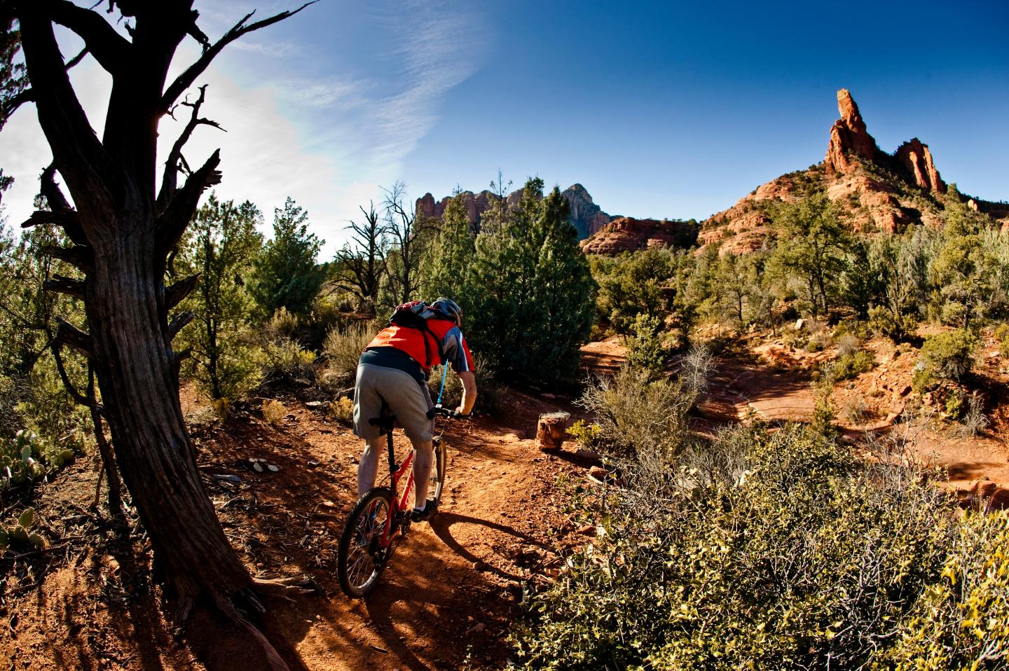 Mountain biker on a desert trail under a bright blue sky.