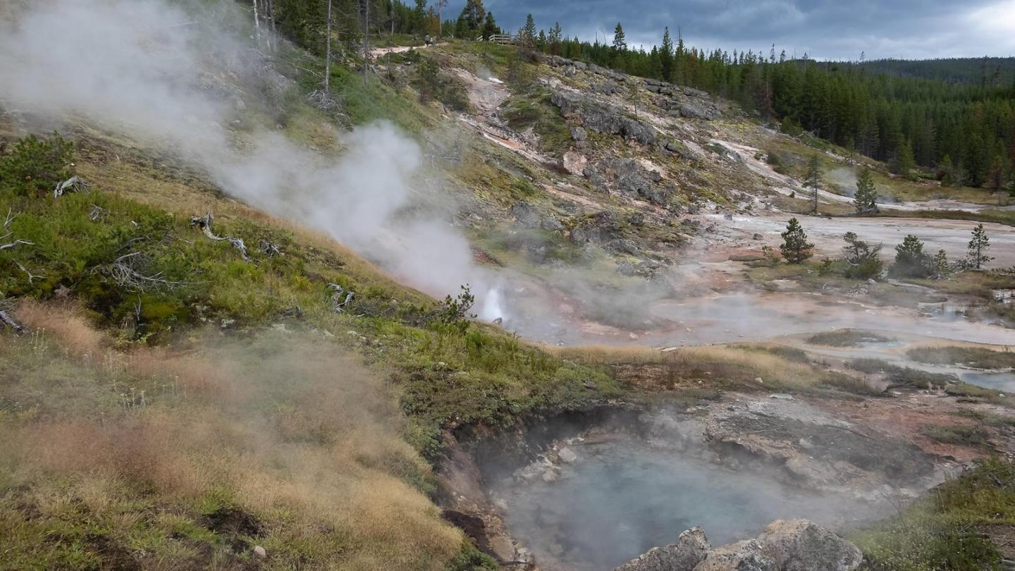 Steaming geyser field with rocky terrain and sparse trees.