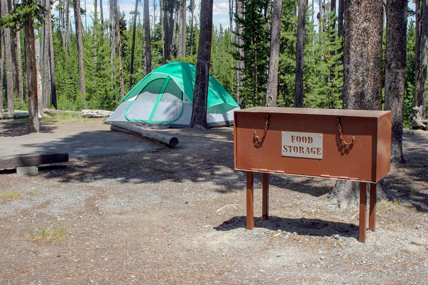 Tent in forest campsite with a bear warning sign.