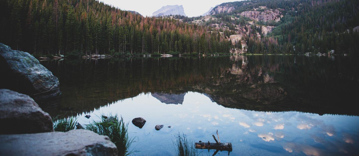 Bear lake at dusk with forest and peaks reflected in water.