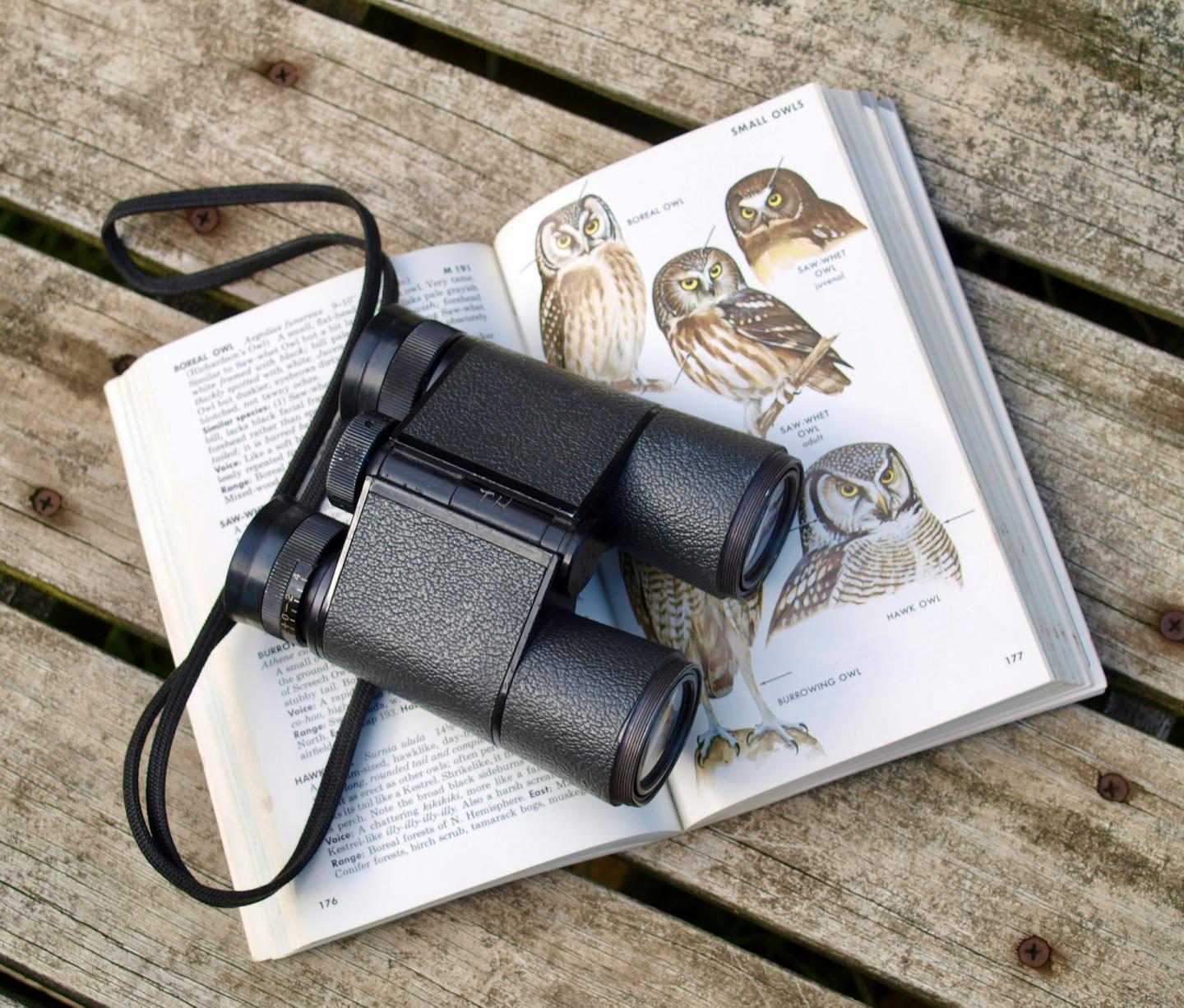 Binoculars resting on an open bird guidebook with owl illustrations on a wooden bench.
