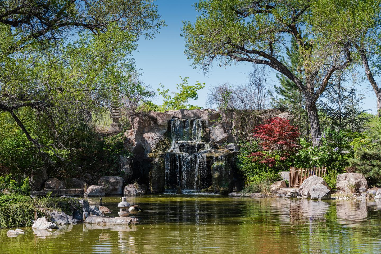 Waterfall cascading into a tranquil pond, surrounded by lush trees and rocks.