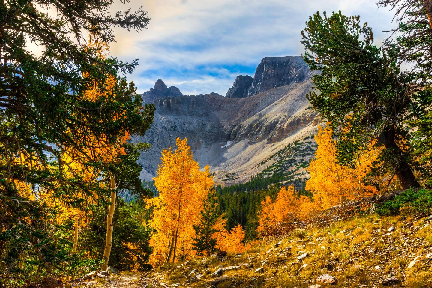 Autumn trees frame rugged mountains under a blue sky.