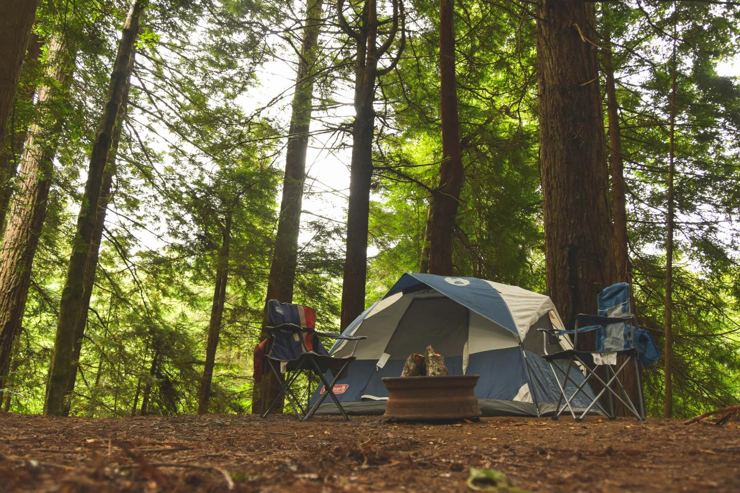 Tent and chairs in a forest campsite.