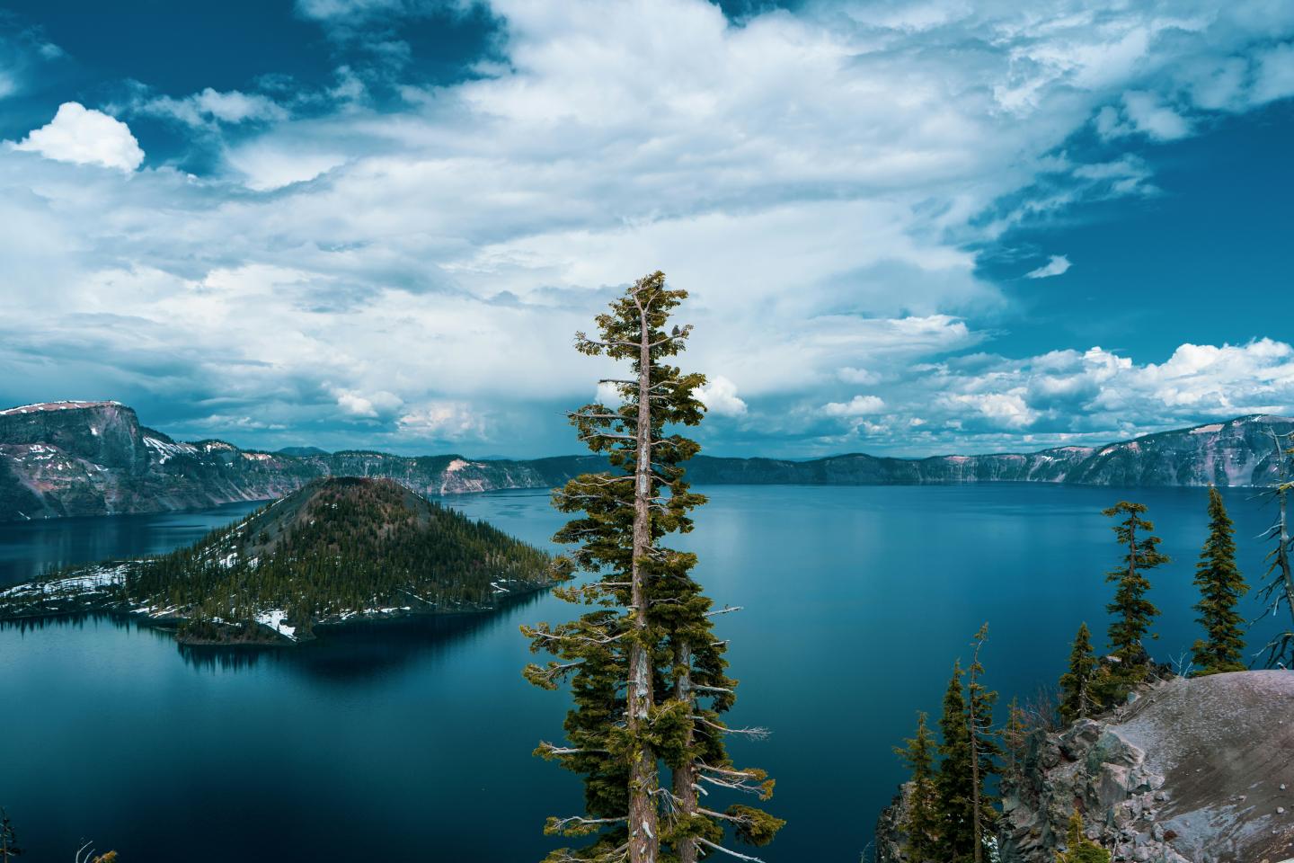 Crater Lake under a cloudy sky, with a tree in the foreground and island in the background.