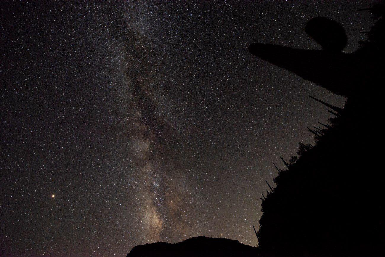 Saguaro cactus under the Milky Way