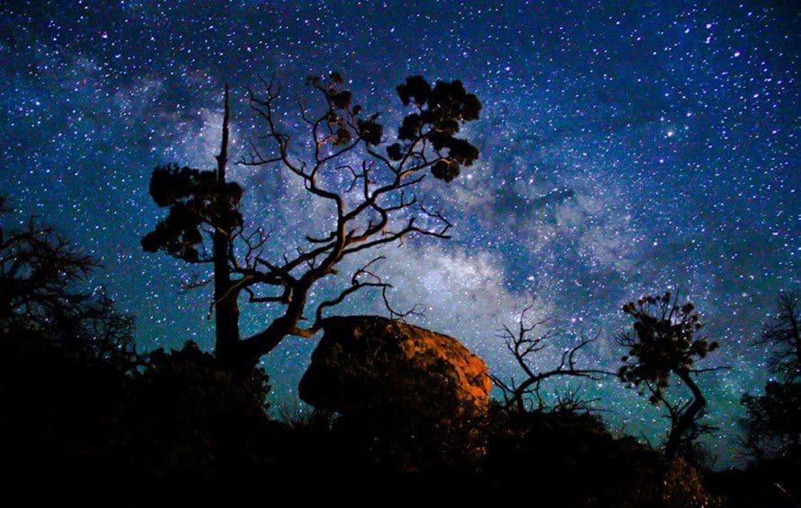 Starry night sky over silhouette of trees and rocks, with the Milky Way visible.