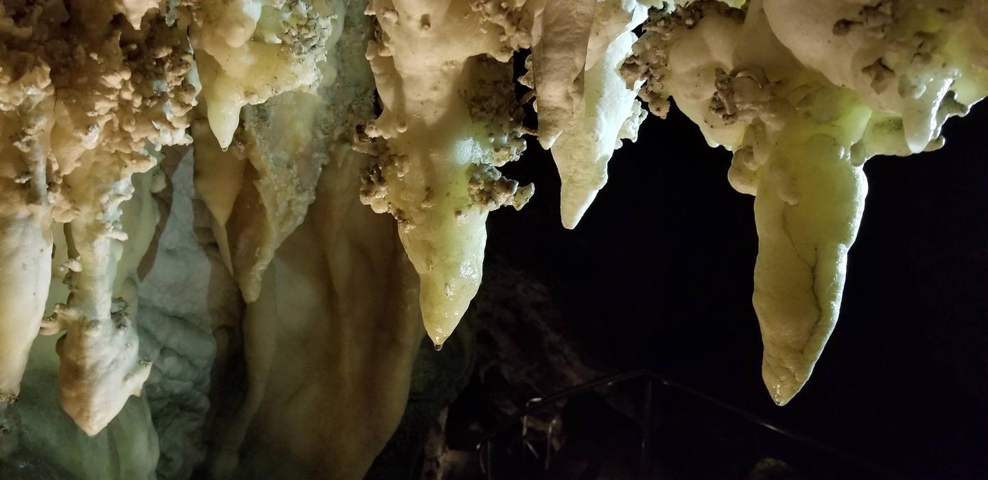 Stalactites in a dimly lit cave.