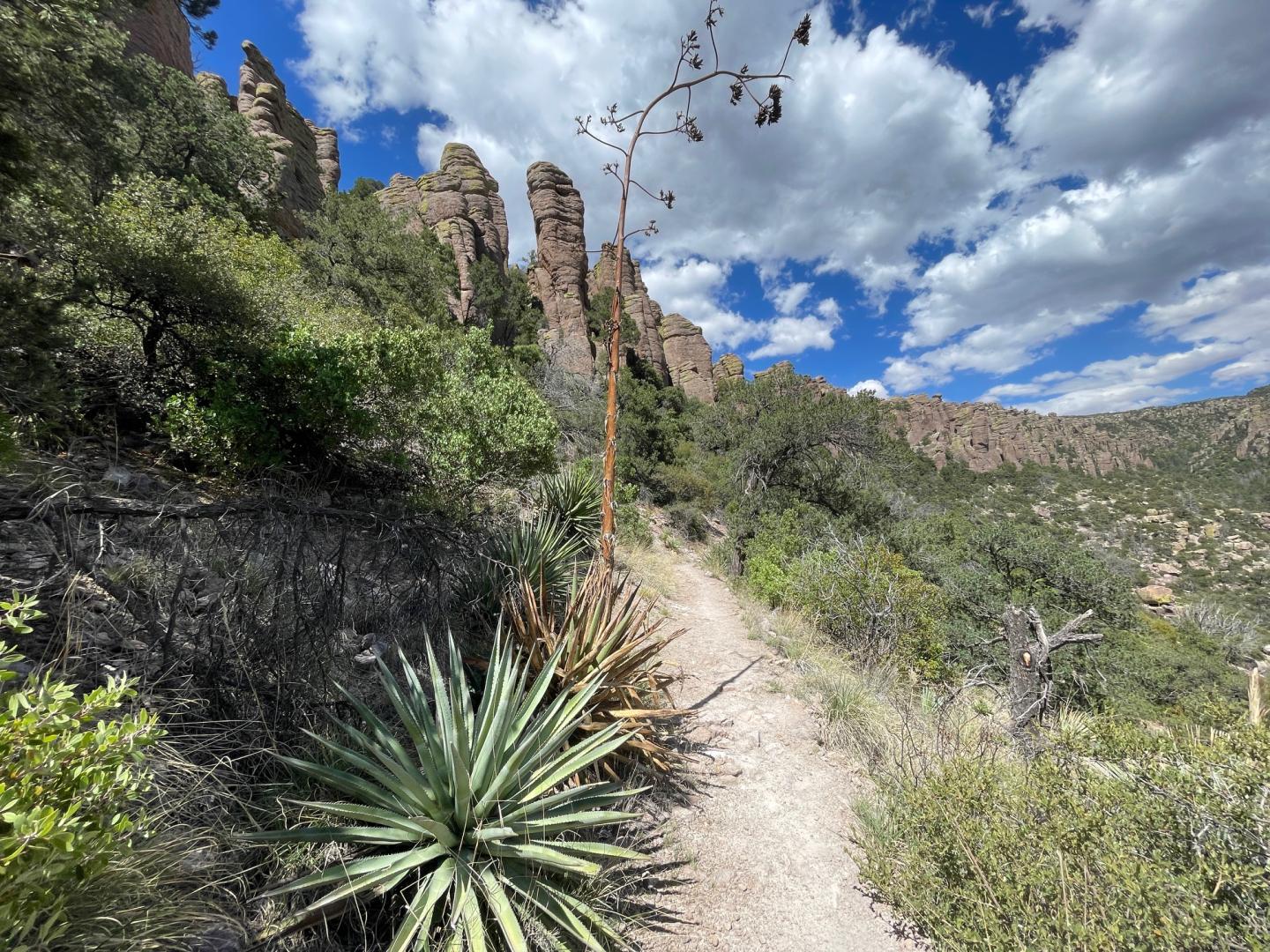 Trail through desert landscape with rocky cliffs and plants under a cloudy sky at Chiricahua National Monument.