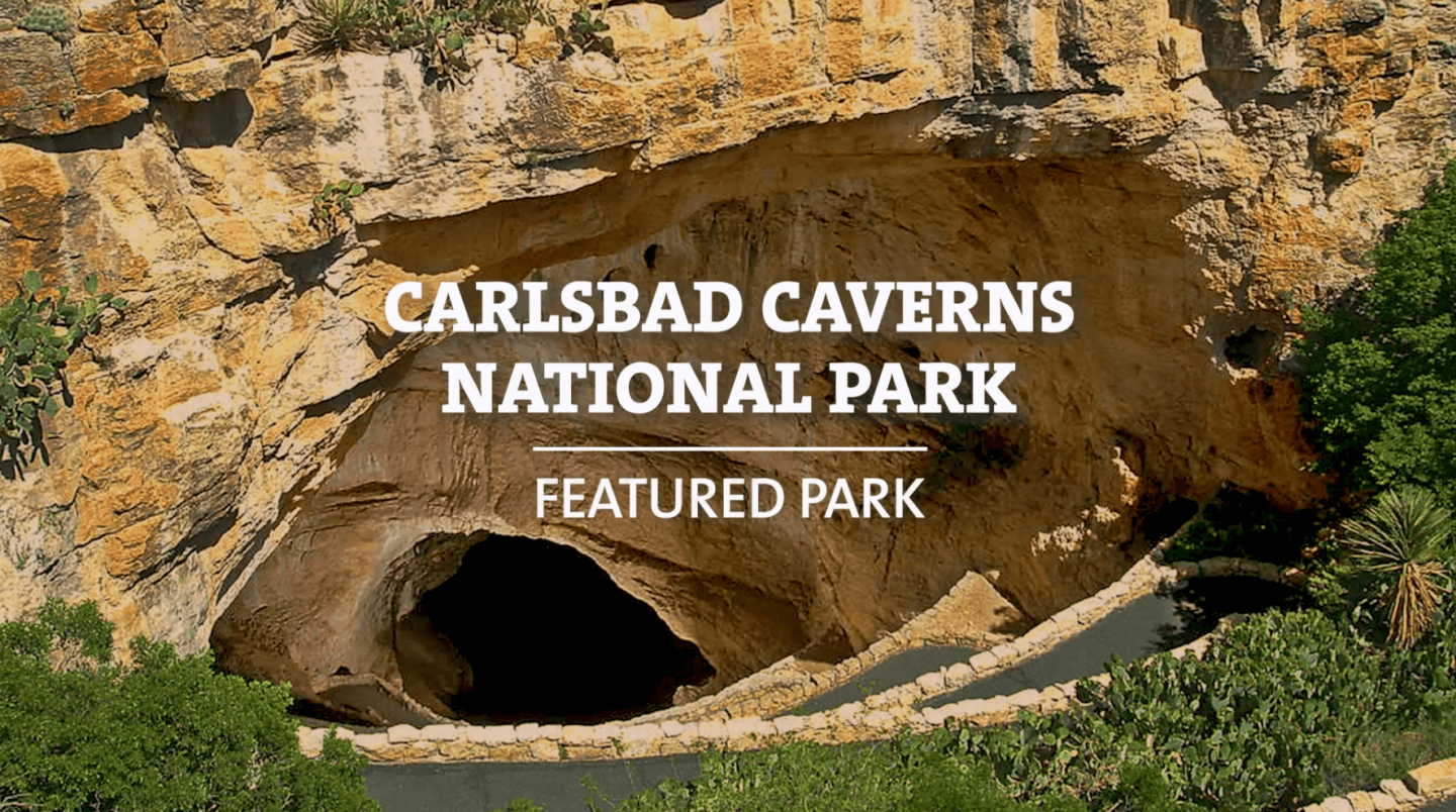 Explore Carlsbad Caverns National Park
