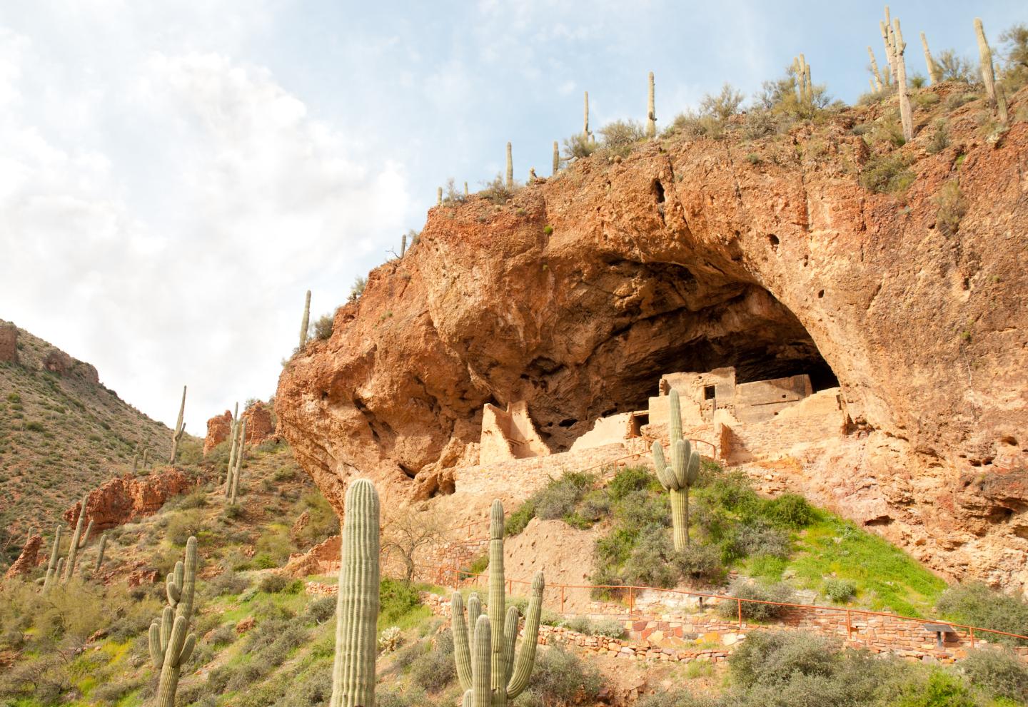 Ancient cliff dwellings under a rocky overhang, surrounded by desert landscape and cacti.
