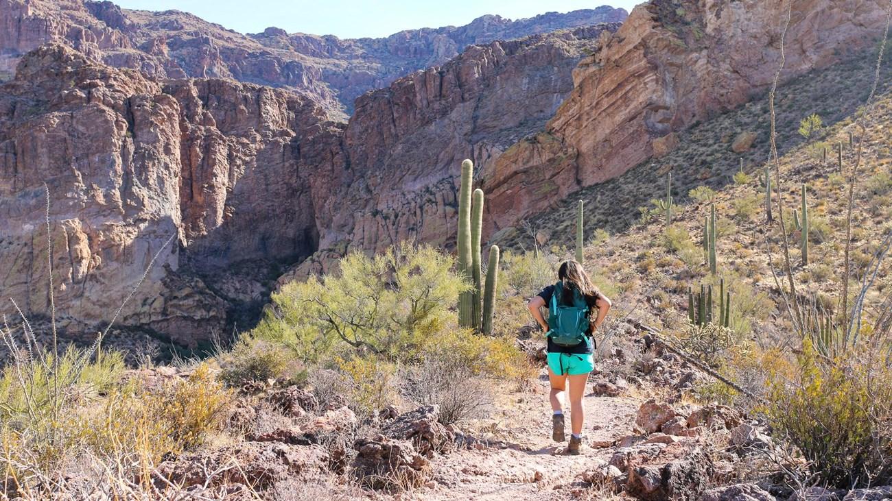 Hiker on a desert trail with large cliffs and cacti under a clear sky.