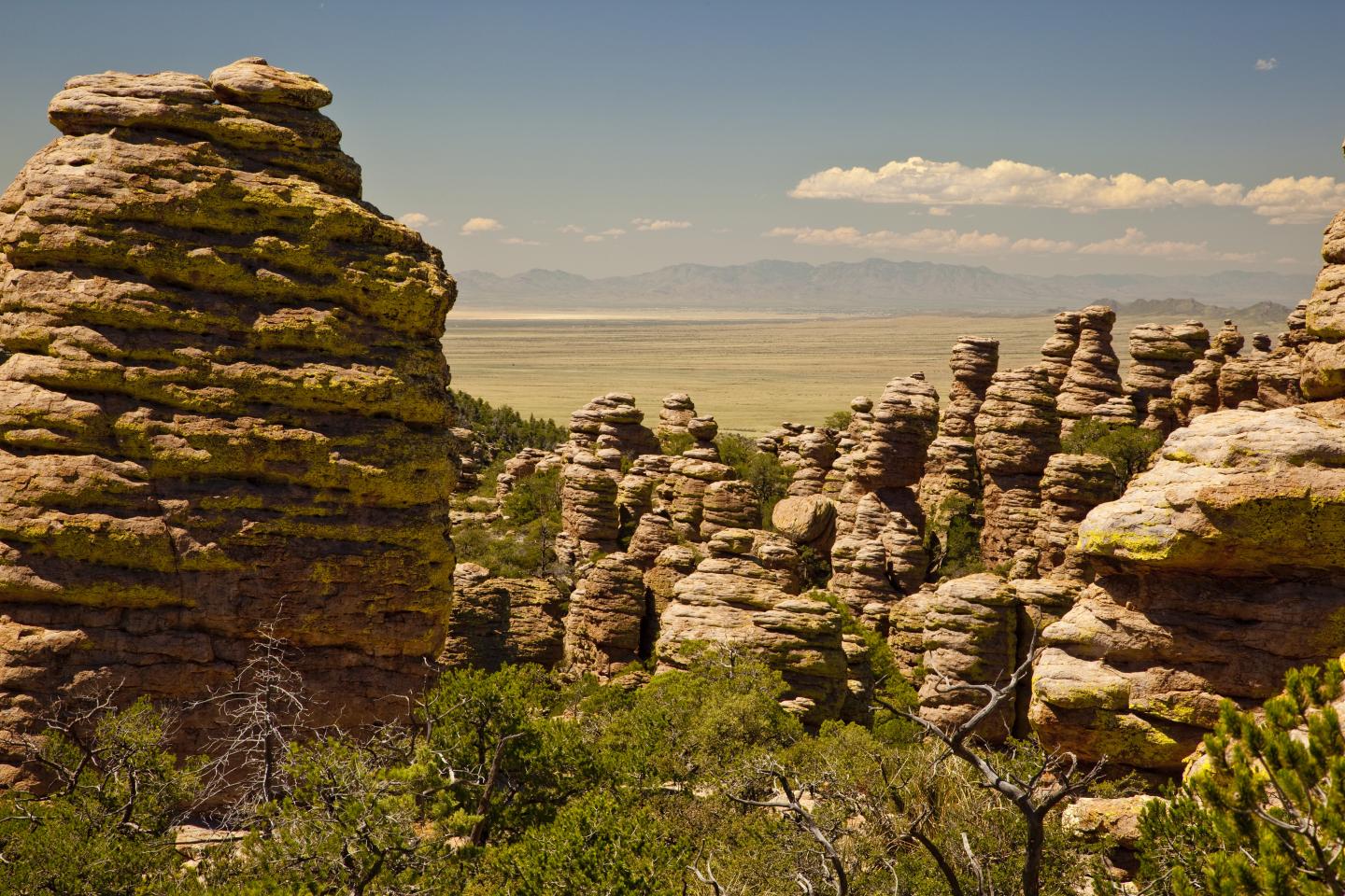 Rock formations and green shrubs under a clear blue sky.