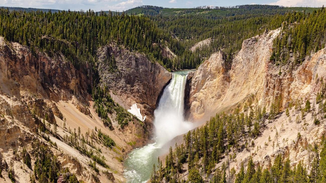 Grand Canyon of the Yellowstone cascading in a forested canyon with rocky cliffs.
