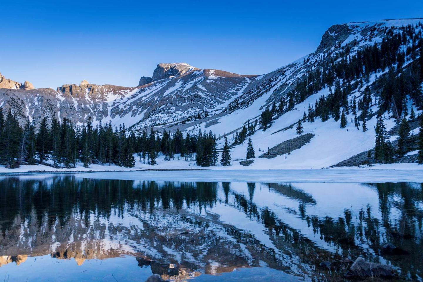 Mountain lake at sunrise, snowy peaks and trees reflected in calm water.