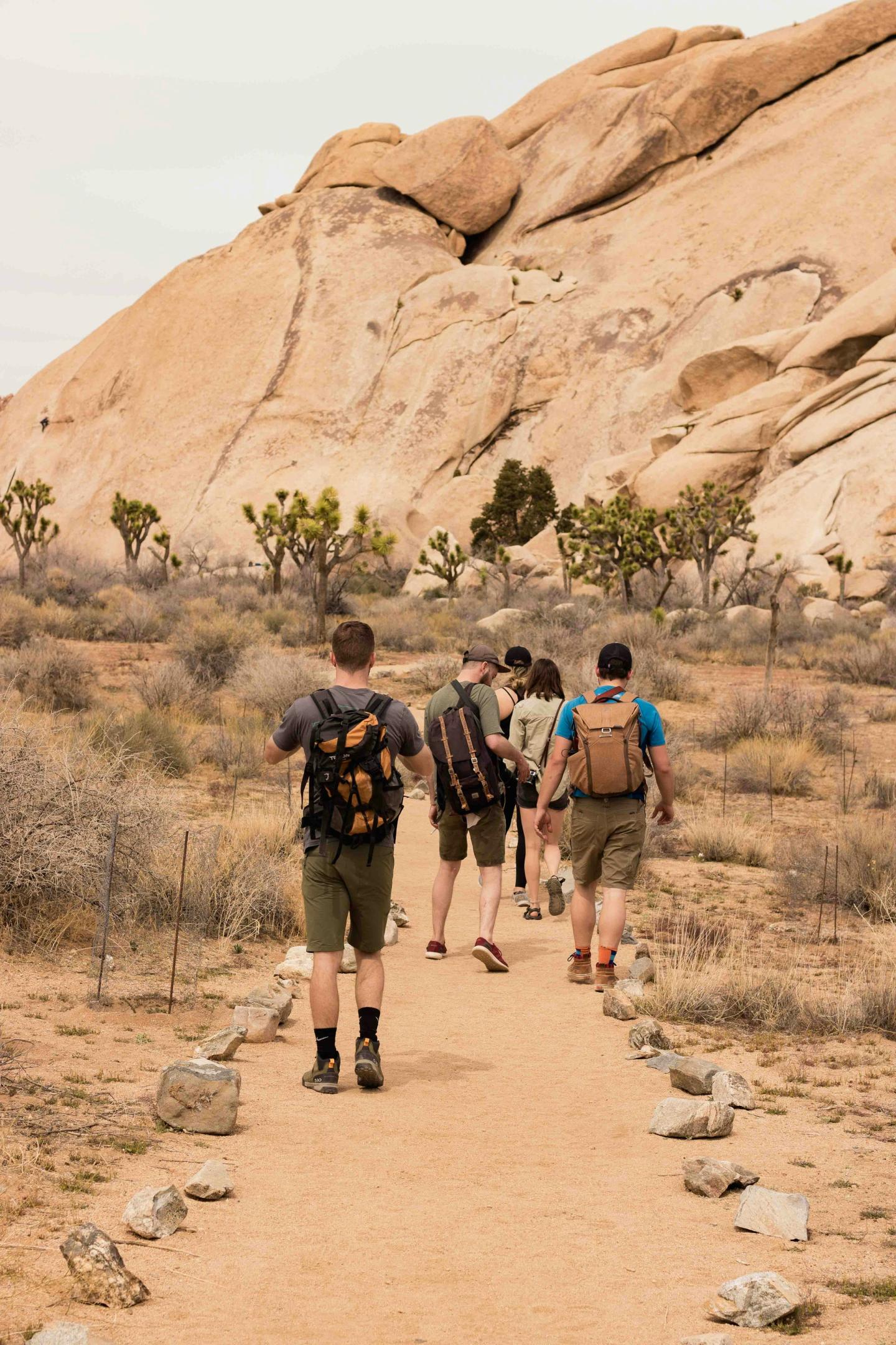 Hikers on a desert trail toward rocky hills.