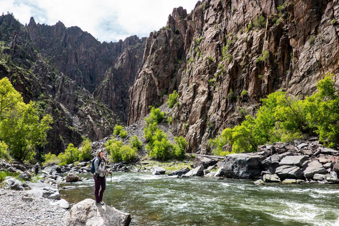 Hiker standing by Gunnison River with lush green trees and towering rocky cliffs behind.