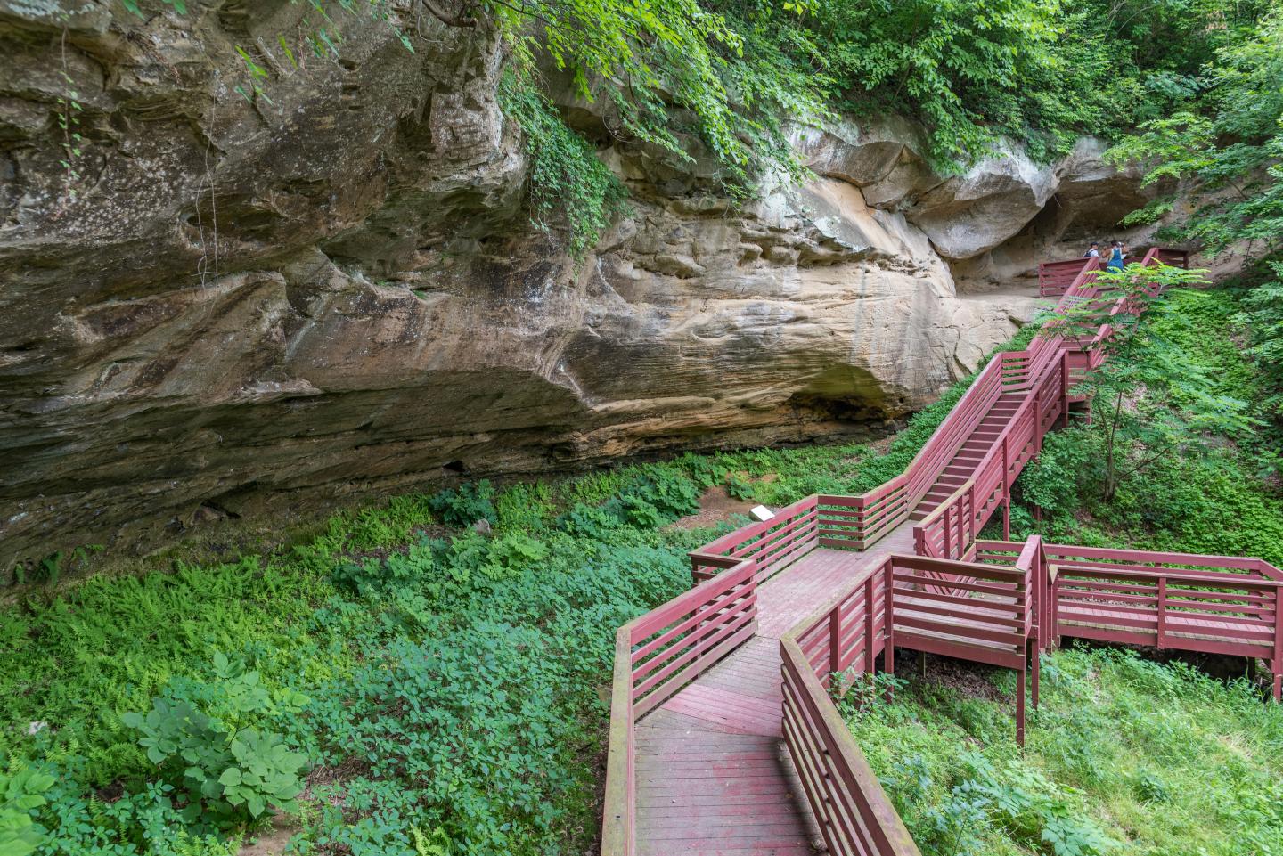 Wooden boardwalk leading to rocky cliffs amid lush greenery.