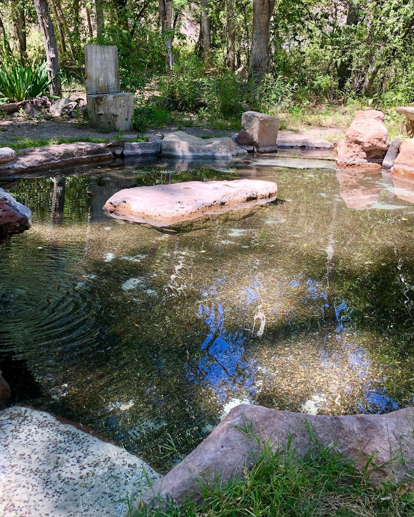 Hot springs with rocks, surrounded by trees and greenery.