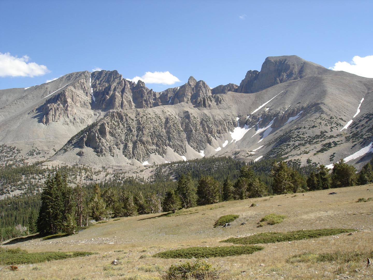 Mountain landscape with trees in foreground and clear blue sky.