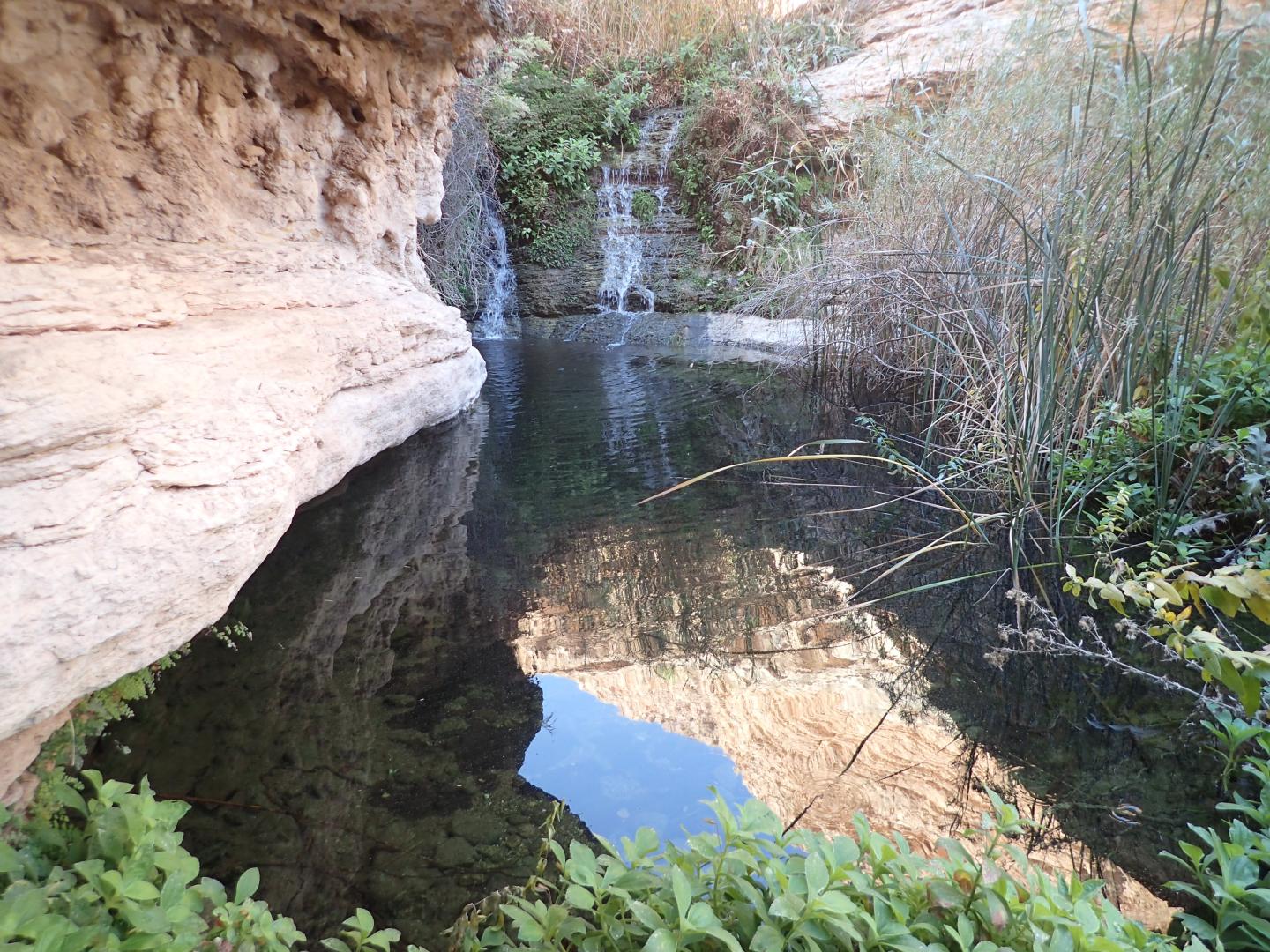 Small waterfall flowing into a serene hot spring pool surrounded by vegetation.