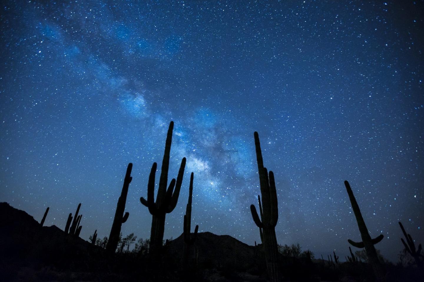 Starry night sky with silhouetted cacti and the Milky Way.