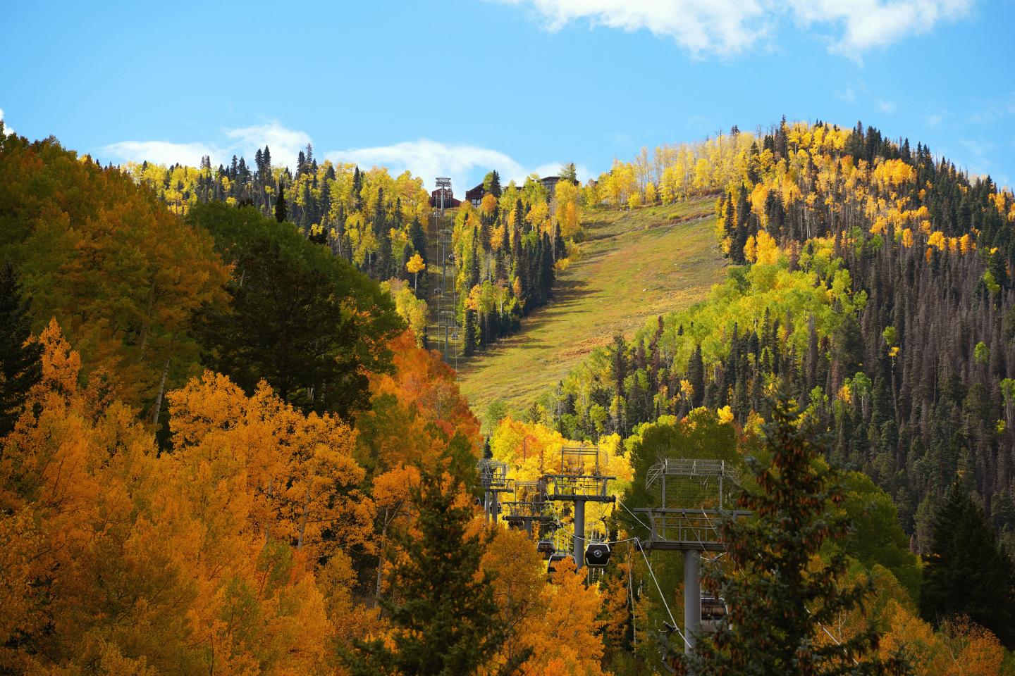 Autumn hillside with colorful trees and a chairlift under a bright blue sky.