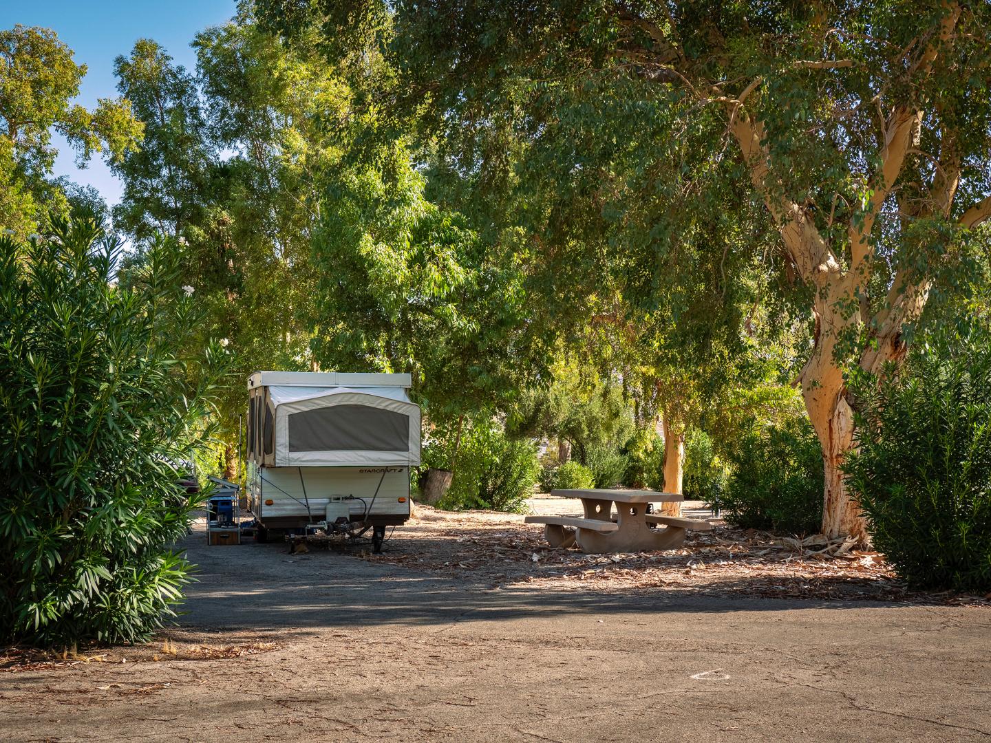 Camper trailer parked at a leafy campsite near a picnic table.