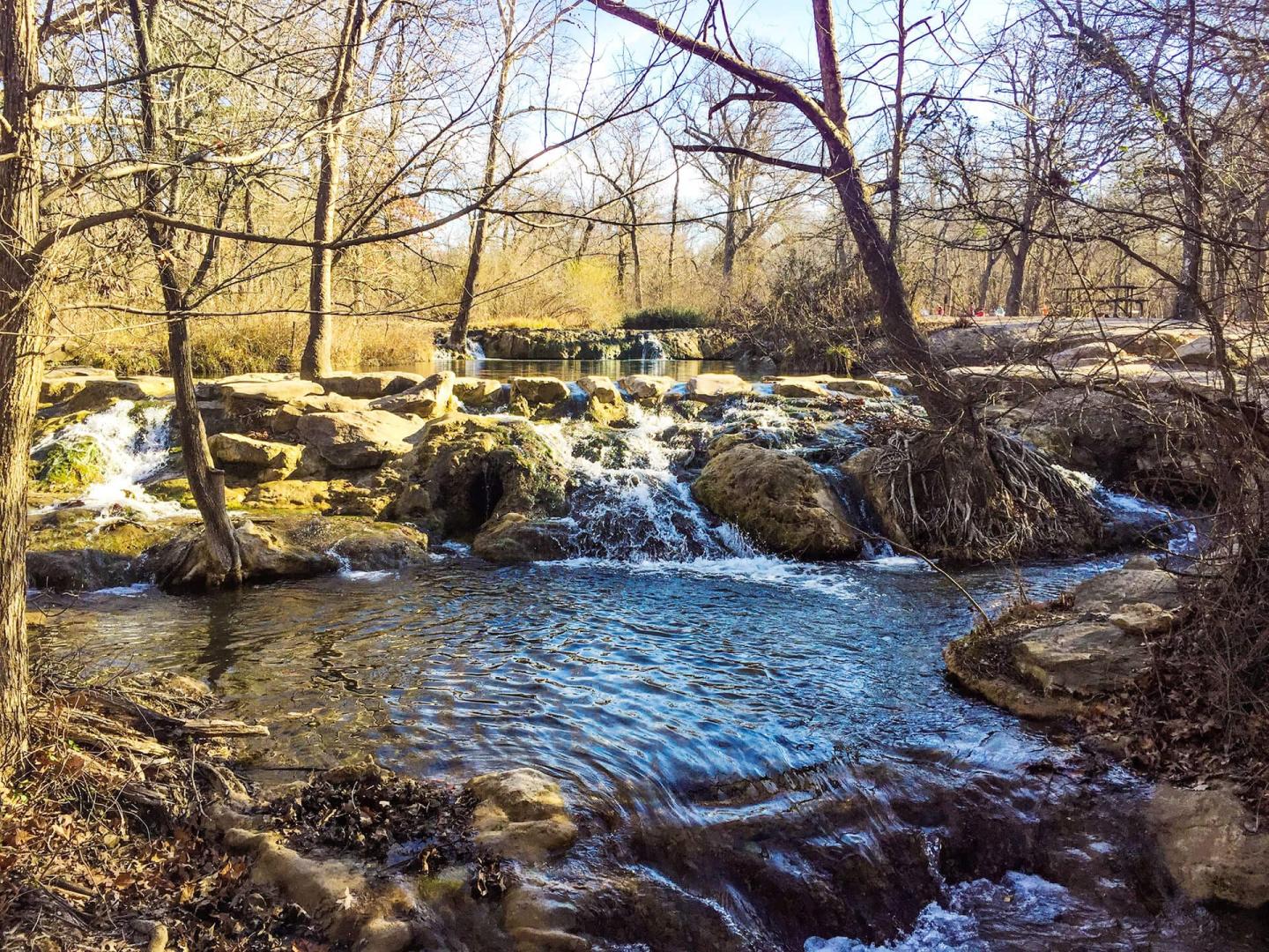 Little Niagara flowing in a forest, surrounded by bare trees and rocks.