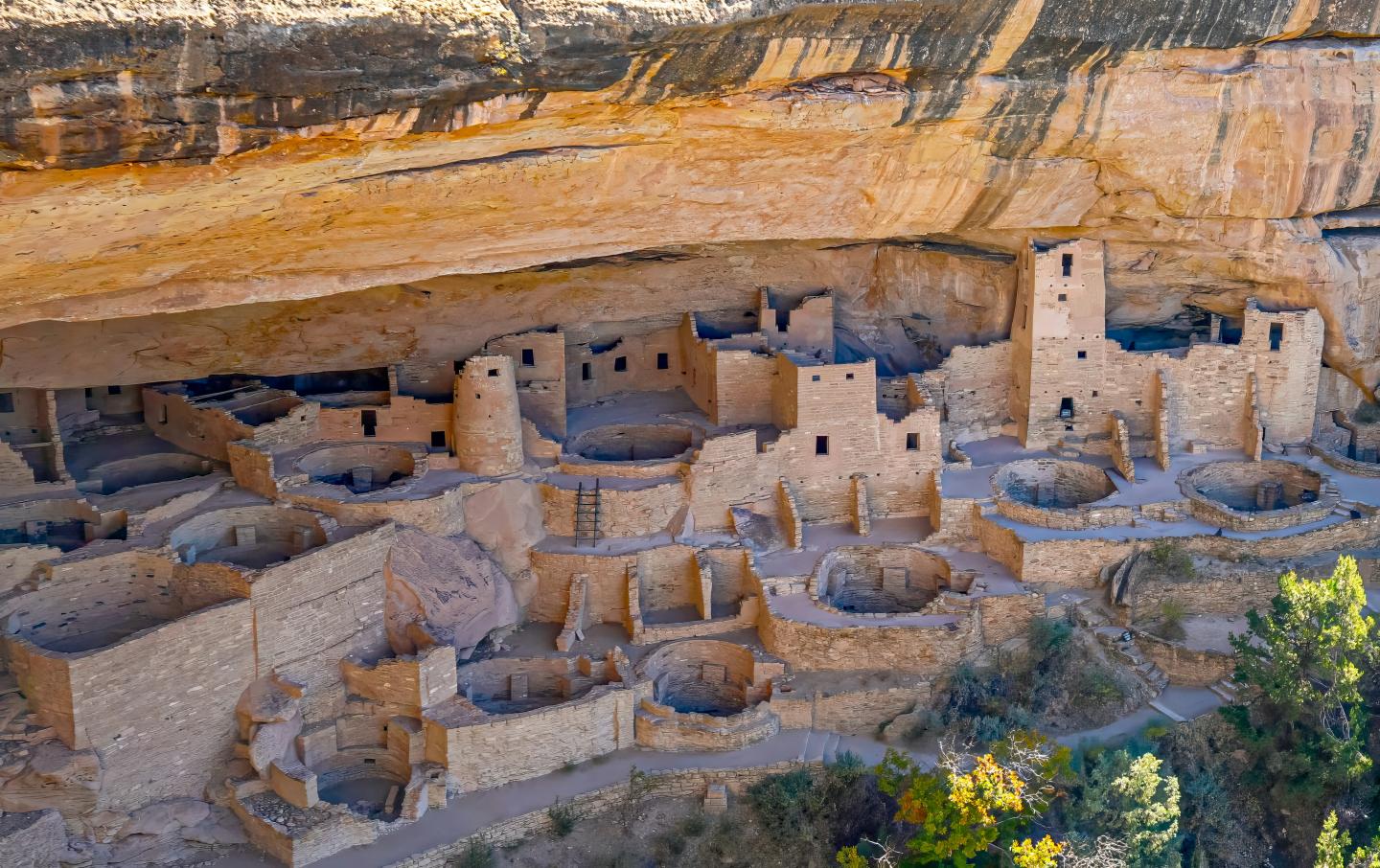 Mesa Verde dwellings with stone structures under an overhanging rock face.