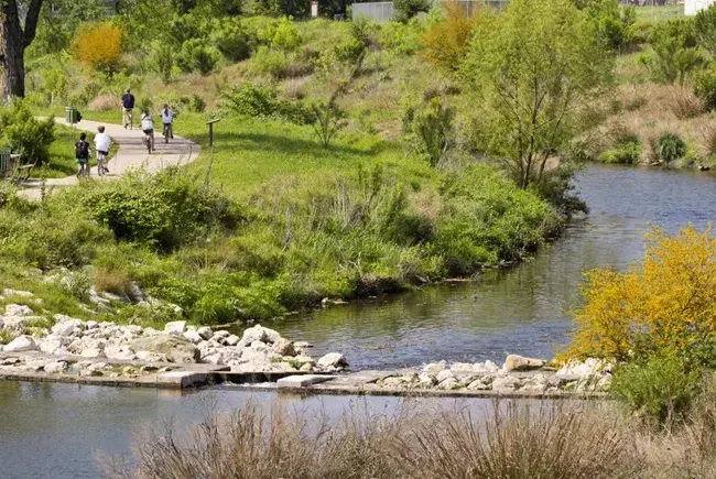 Mission Reach Trail through a green park with a creek and people walking.