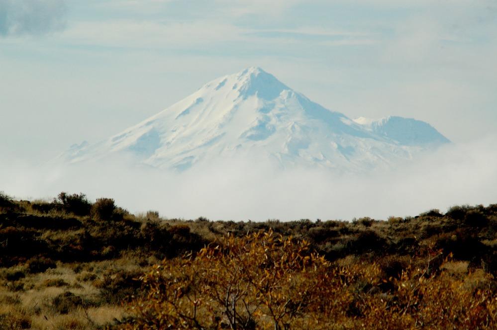 A snowy Mount Shasta against a pale blue sky.