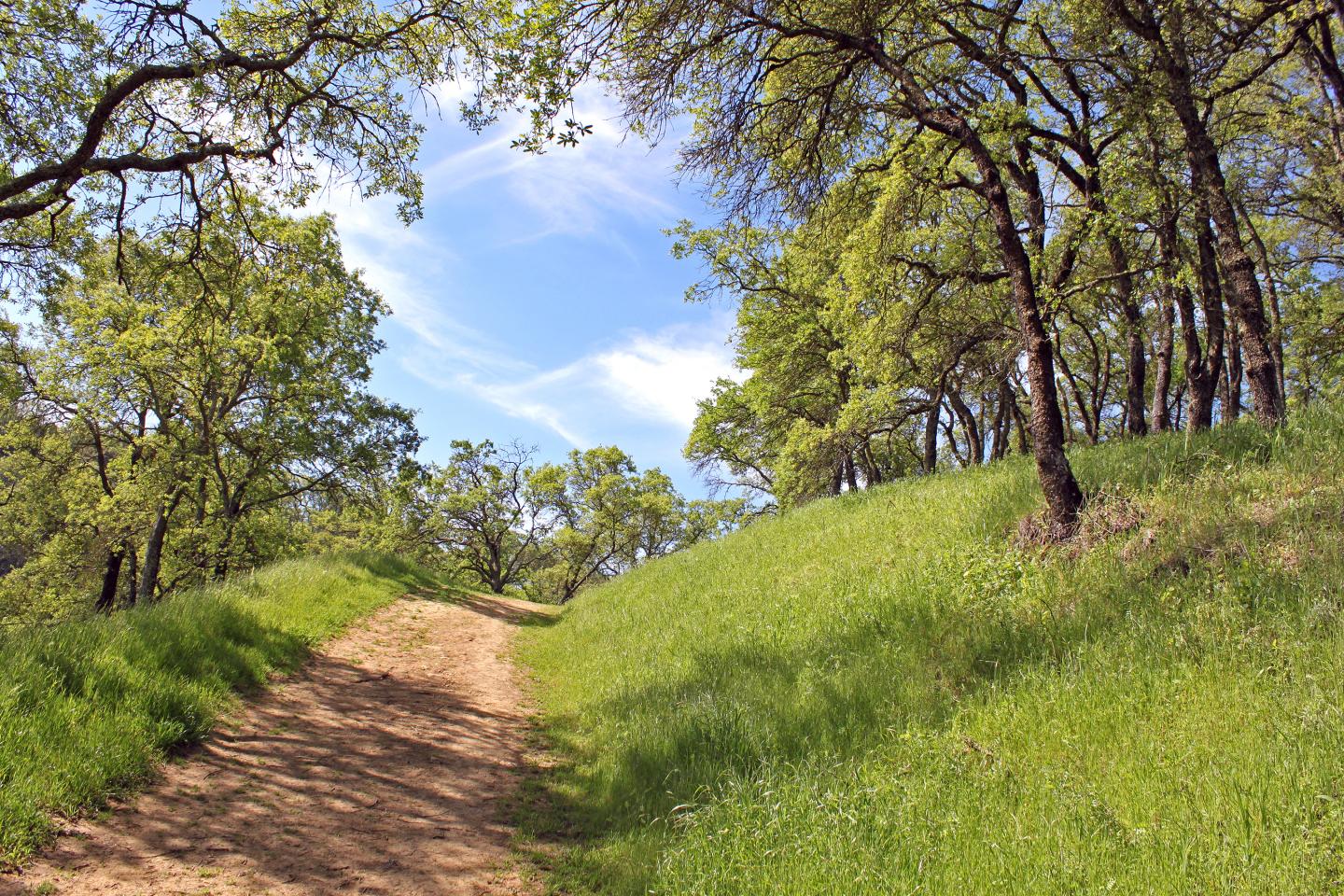 Dirt path winding through Mt Wanda under a clear blue sky.