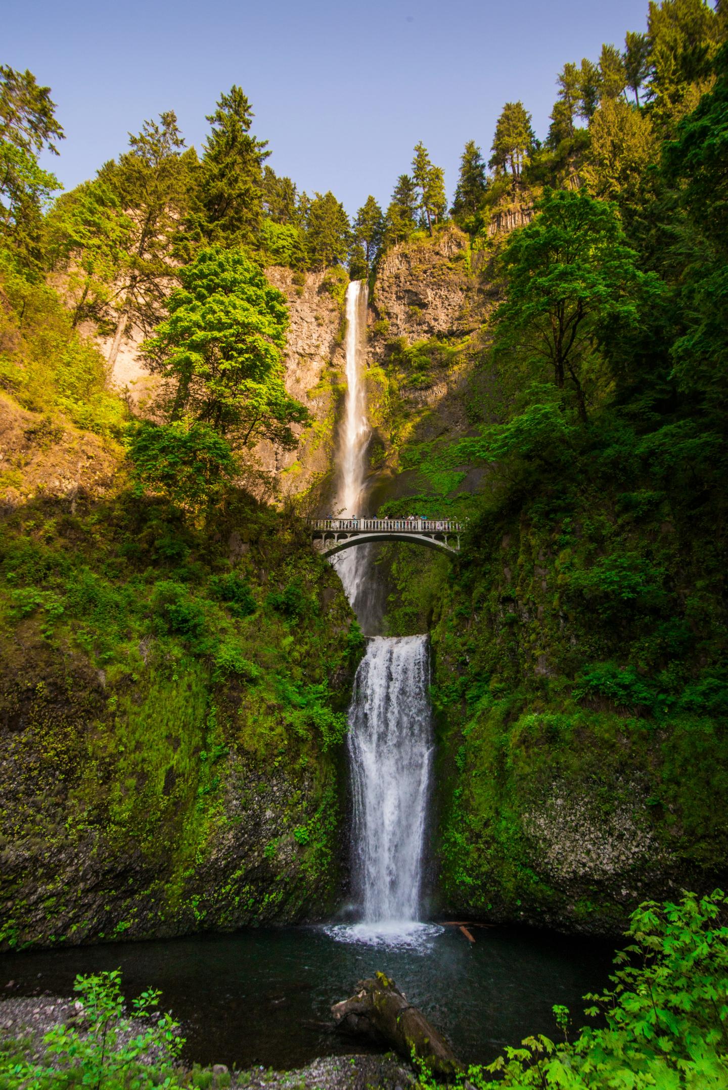 Multnomah Falls cascading over rocks, lush greenery, and bridge below.