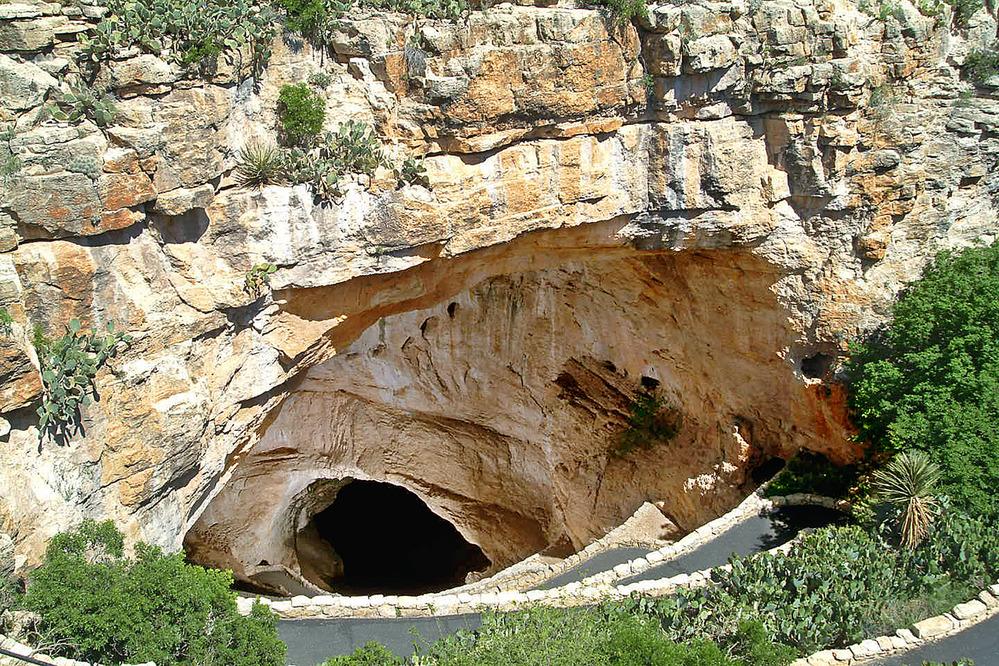 Carlsbad Caverns entrance surrounded by green shrubs.