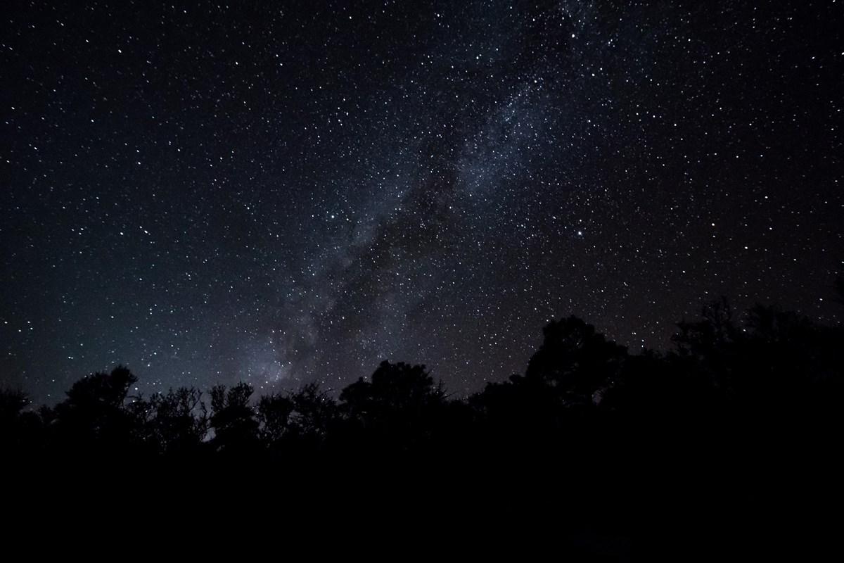 Starry night sky with Milky Way over dark tree silhouettes.