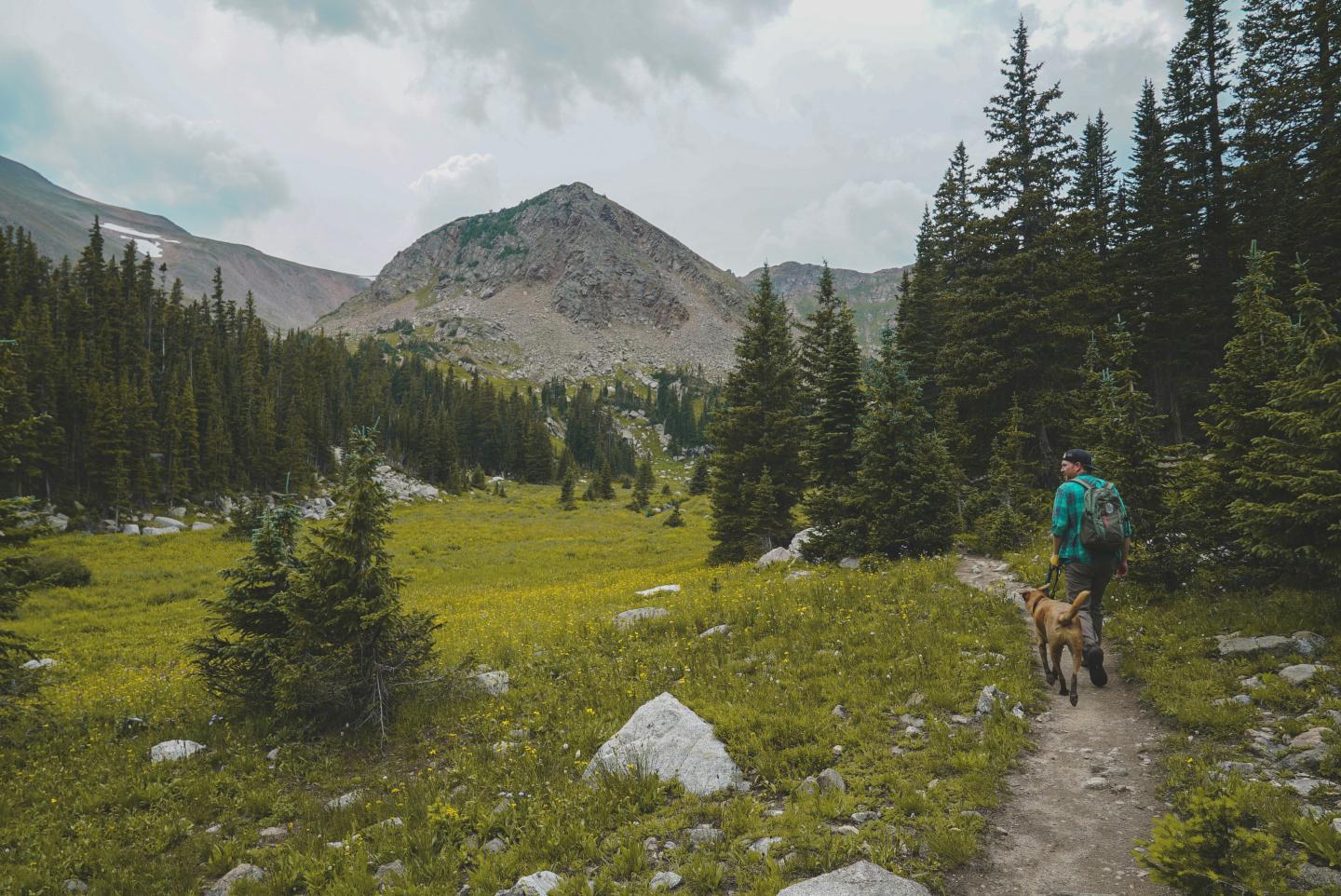 Hiker and dog on a trail through lush mountain landscape under cloudy skies.