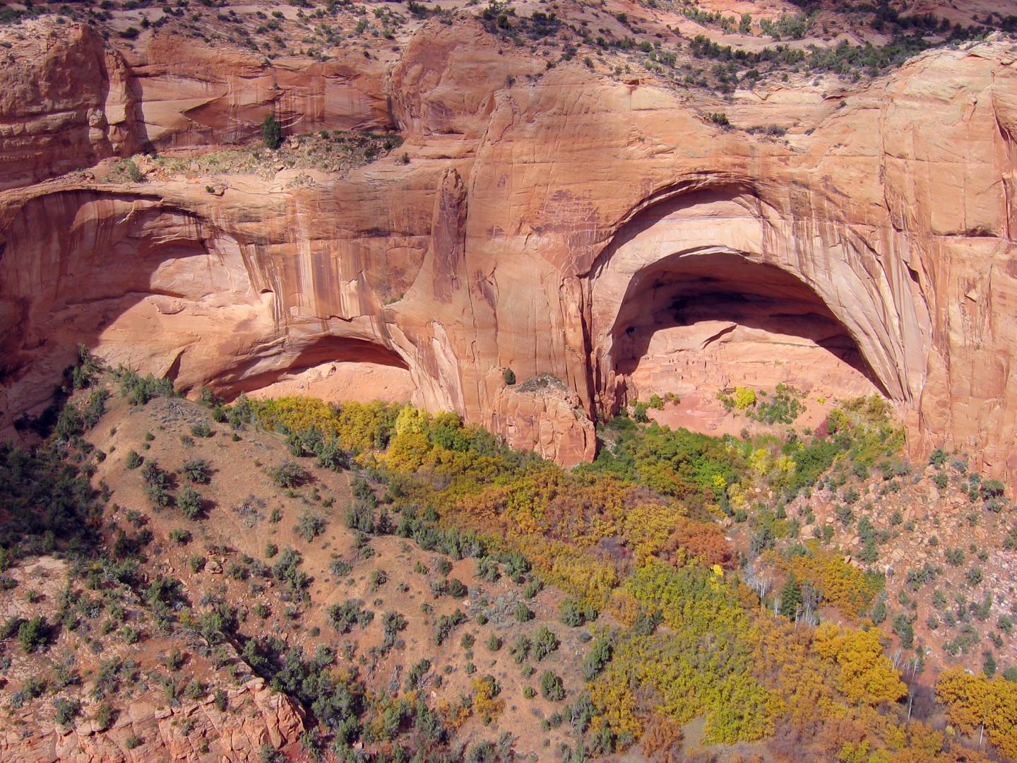 Red rock arches with colorful foliage below in a canyon landscape.