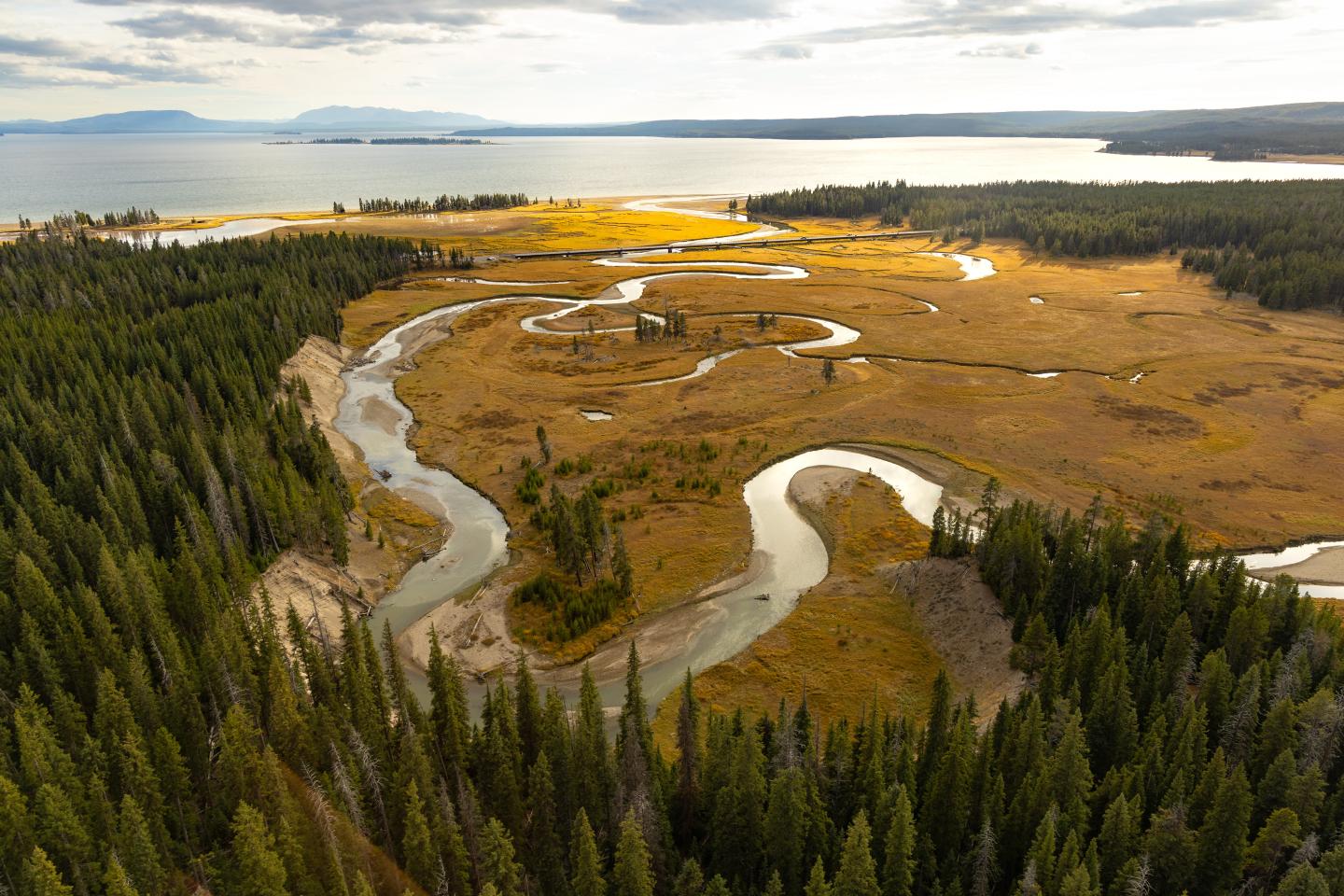 Winding river through a forest and open field under a cloudy sky.