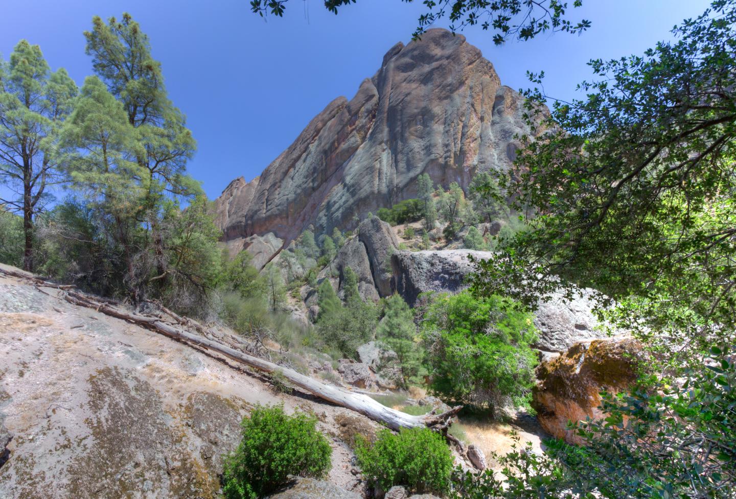 Rocky mountain landscape with trees under a clear blue sky.